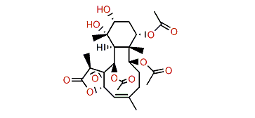 Briareolide B